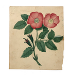 Charmingly Naive 19th C. Roses Watercolor