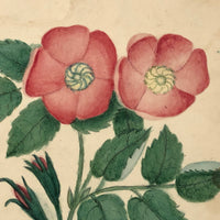 Charmingly Naive 19th C. Roses Watercolor