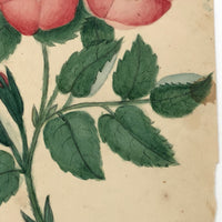 Charmingly Naive 19th C. Roses Watercolor