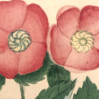 Charmingly Naive 19th C. Roses Watercolor