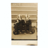 Twins in Striped Hats and Scarves and Wooly Snowsuits, in Wagon, Old RPPC