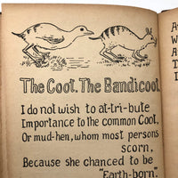 Animal Analogues by Robert Williams Wood, 1908 First Edition