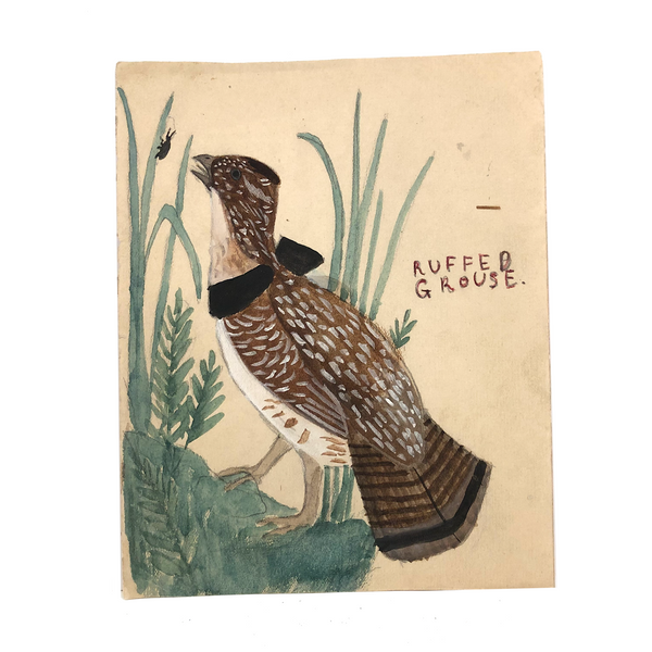 Ruffed Grouse and Bug, Charming Old Bird Lover's Watercolor