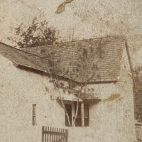 Farm House with Encroaching Tree, Antique Mounted Photo