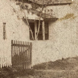 Farm House with Encroaching Tree, Antique Mounted Photo