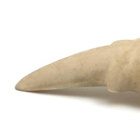 Wonderful Alaskan Inuit Carved Bone Creature with Serrated Jaws,