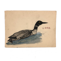 Loon, Charming Old Bird Lover's Watercolor