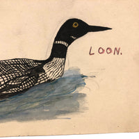 Loon, Charming Old Bird Lover's Watercolor