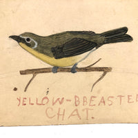 Yellow Breasted Chat, Charming Old Bird Lover's Watercolor