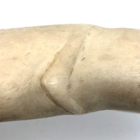 Wonderful Alaskan Inuit Carved Bone Creature with Serrated Jaws,