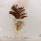 Poultry Husbandry! PA Student School Report with Three Charming Annotated Pages of Feather Samples