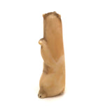 Inuit Eskimo Carved Tusk Standing Polar Bear