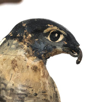 Old Carved and Painted Hawk or Falcon on Natural Wood Base