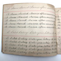 Lila Wise's 1898 Penmanship Practice Notebook with Both Strange and Poignant Sentences