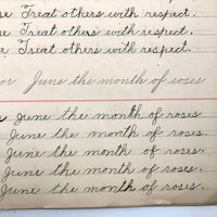 Lila Wise's 1898 Penmanship Practice Notebook with Both Strange and Poignant Sentences