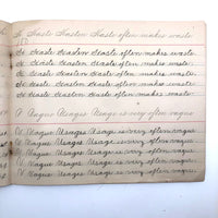 Lila Wise's 1898 Penmanship Practice Notebook with Both Strange and Poignant Sentences