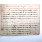 Lila Wise's 1898 Penmanship Practice Notebook with Both Strange and Poignant Sentences