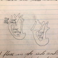 Robert Wagner's Far-ranging 1926 8th Grade Binder with Some Excellent Pages