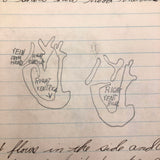 Robert Wagner's Far-ranging 1926 8th Grade Binder with Some Excellent Pages