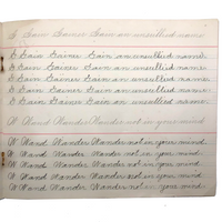 Lila Wise's 1898 Penmanship Practice Notebook with Both Strange and Poignant Sentences