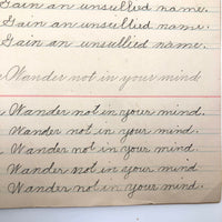 Lila Wise's 1898 Penmanship Practice Notebook with Both Strange and Poignant Sentences