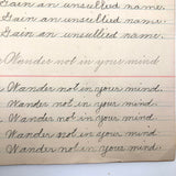 Lila Wise's 1898 Penmanship Practice Notebook with Both Strange and Poignant Sentences