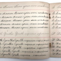 Lila Wise's 1898 Penmanship Practice Notebook with Both Strange and Poignant Sentences