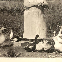 Queen of the Ducks, Old Snapshot Photo