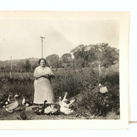 Queen of the Ducks, Old Snapshot Photo