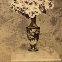 Vase of Bergonia, Beautifully Moody c. 1870s Stereoview