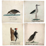 Another Charming Set of Four Naive Watercolors of Birds, To Scale!