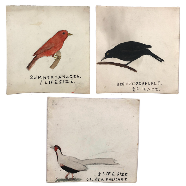 More Old Birdlover's Watercolors: Set of Three, to Scale!