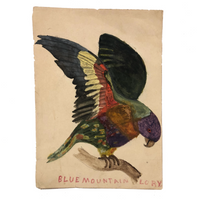 Blue Mountain Lory, Old Birdlover's Watercolor