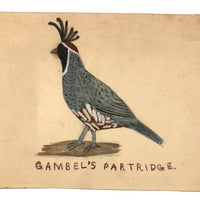 More Charming Old Birdlover's Naive Watercolors: Pair of Partridges