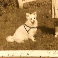 1930s Snapshot of Girl and Dog (at 9 Years) Mounted and Framed with Dog Tags