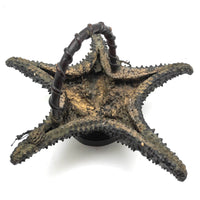 Unusual Folk Art (Real) Star Fish Basket!