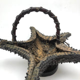 Unusual Folk Art (Real) Star Fish Basket!