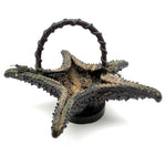 Unusual Folk Art (Real) Star Fish Basket!