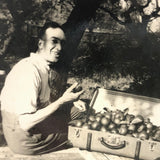 Suitcase Full of Apples, Sweet Little Snapshot Photo