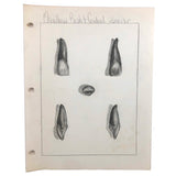 Donna Gasiorek's 1970 School of Dental Hygiene Binder of Tooth Drawings!