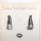 Donna Gasiorek's 1970 School of Dental Hygiene Binder of Tooth Drawings!