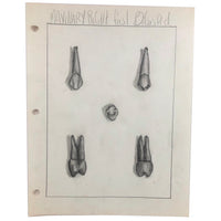 Donna Gasiorek's 1970 School of Dental Hygiene Binder of Tooth Drawings!