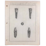 Donna Gasiorek's 1970 School of Dental Hygiene Binder of Tooth Drawings!