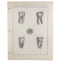 Donna Gasiorek's 1970 School of Dental Hygiene Binder of Tooth Drawings!