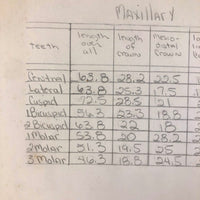 Donna Gasiorek's 1970 School of Dental Hygiene Binder of Tooth Drawings!