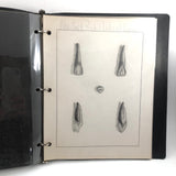 Donna Gasiorek's 1970 School of Dental Hygiene Binder of Tooth Drawings!