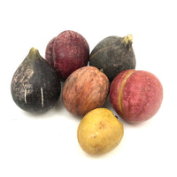 Great Old Group of Stone Fruits with Excellent Color