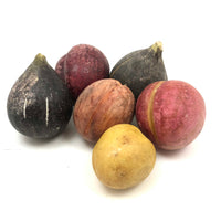 Great Old Group of Stone Fruits with Excellent Color