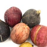 Great Old Group of Stone Fruits with Excellent Color