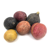 Great Old Group of Stone Fruits with Excellent Color